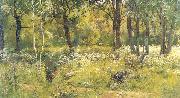 Ivan Shishkin Grassy Glades of the Forest Spain oil painting artist